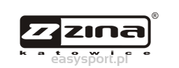 ZINA