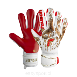 Rękawice Reusch Attrakt Freegel Silver '23