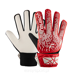 Rękawice Reusch Attrakt Starter Solid JUNIOR '24