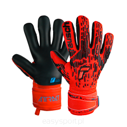 Rękawice Reusch Attrakt Freegel Silver JUNIOR