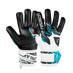 Rękawice Reusch Attrakt Infinity NC '25